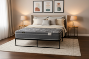 Siesta Hybrid Mattress- 11” Firm - The Mattress Center (Fresno,CA)