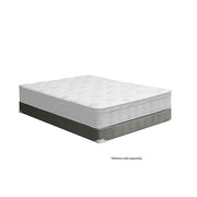 Aleksa Grey Foundation, Queen - The Mattress Center (Fresno,CA)