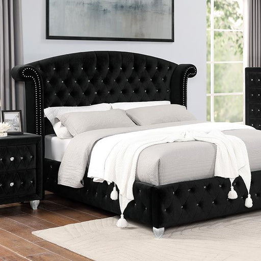 Zohar Queen & Twin Bed Black, Grey, & Pink - The Mattress Center (Fresno,CA)