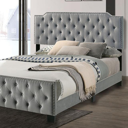 Charlize Bed Grey & Navy - The Mattress Center (Fresno,CA)