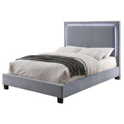 Erglow Bed - The Mattress Center (Fresno,CA)