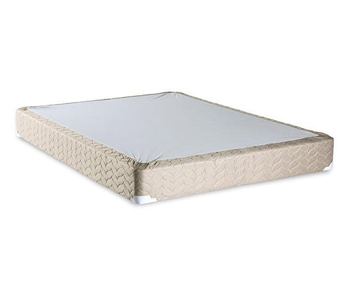 Lilium White/Brown Foundation, Queen - The Mattress Center (Fresno,CA)