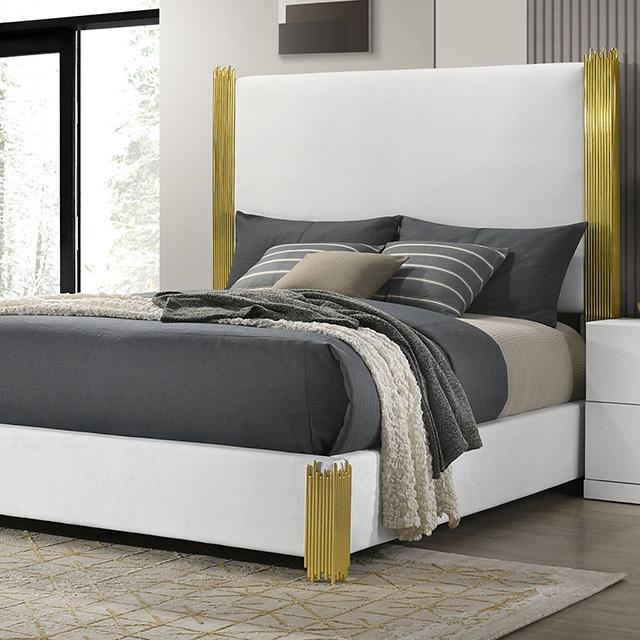 White/Gold