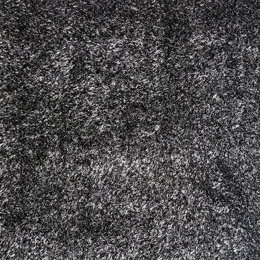 Annmarie Black 5' X 8' Area Rug - The Mattress Center (Fresno,CA)