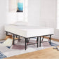 Metal Platform Bed Frame 14 inch